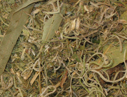 13-herb-spiritual-bath-mixture-1-day-supply