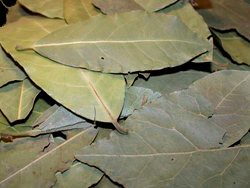 bay-leaves