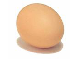 black-hen-egg