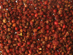 sumac-berries