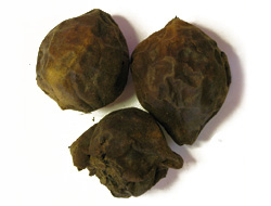 whole-black-walnuts"